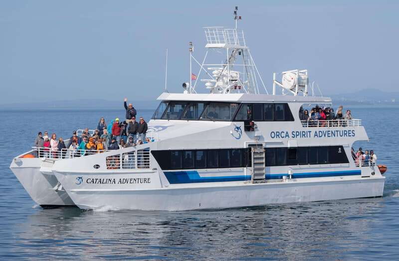 From Victoria: Whale Watching Trip on Covered Boat - Where You Start in Victoria: Marina Level Check-In That Keeps Things Easy