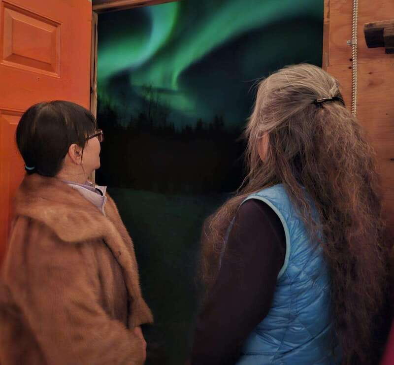 From Yellowknife: Aurora Borealis Tour with Cozy Cabin Base - Key Points You Will Care About