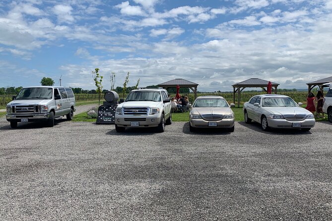 Full-Day Group Wine Tour (with cheese and charcuterie) in Niagara-on-the-Lake - Pace, small-group value, and what guides do to make or break the day