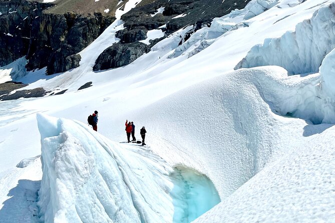 Full Day Guided Glacier Hike on The Athabasca with IceWalks - Guides who keep you safe and curious
