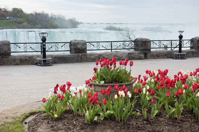Full-Day Niagara Falls Tour from Toronto w/Boat/JBF/Tower - Price and Value at $67.55: What You’re Really Buying