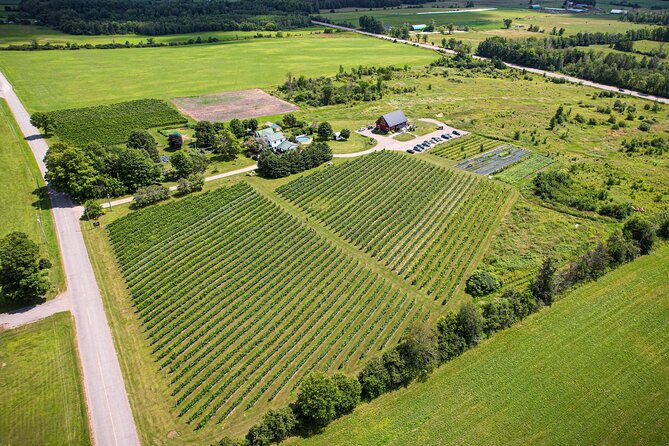 Full Day Pontiac Wine & Cider Tour - Day Trip From Ottawa & Gatineau - Pickup, Timing, and Pacing a 7-Hour Tasting Day