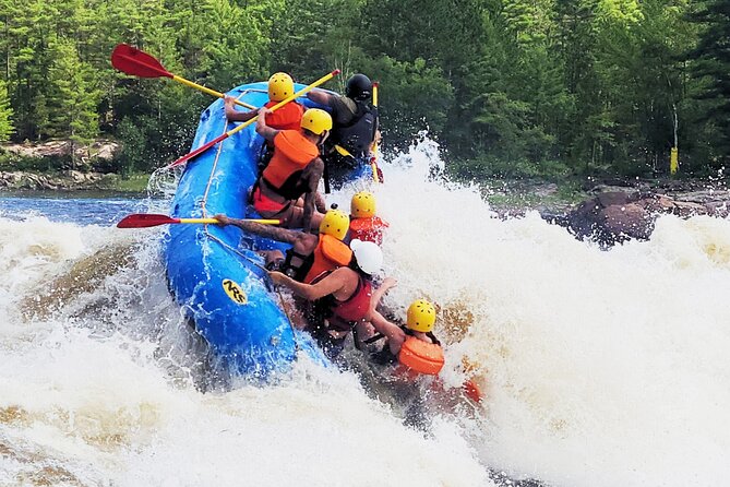Full day rafting on the Ottawa River - River Break With BBQ Dinner: A Real Reset, Not a Stopgap