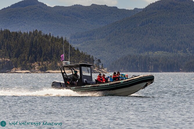 Full Day Whale Watching Campbell River - Why This Whale Watching Route Feels Like More Than One Stare at the Ocean