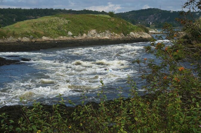 Fundy Coast to Fundy Shore Tour - Key Things I’d Circle Before You Book