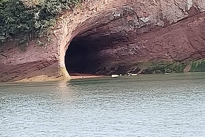 Fundy Coast to Fundy Shore Tour - Price and What You’re Paying For in Real Terms