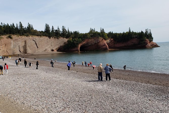 Fundy Coast to Fundy Shore Tour - Guides Who Turn the Drive Into the Point