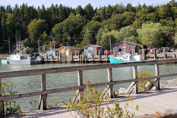 Fundy Coast to Fundy Shore Tour - Small-Group Feel, Shared Transport, and What That Means for Your Comfort