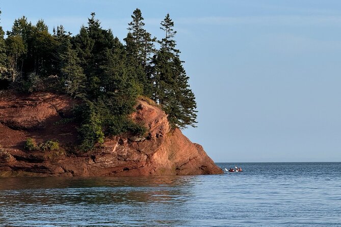 Fundy Shore Tour By Bus - Key Highlights You’ll Care About
