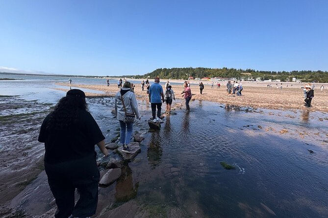Fundy Shore Tour By Bus - Repeating Reversing Falls Again, Because the Tide Keeps Changing