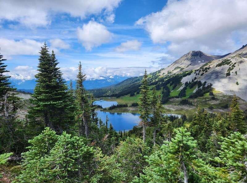 Garibaldi Park/ Panorama Ridge/ Hiking Day Trip - Panorama Ridge: the Mountain View That Turns Into a Photo Mission