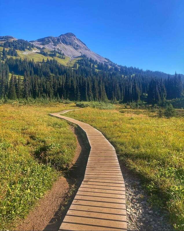 Garibaldi Park/ Panorama Ridge/ Hiking Day Trip - Garibaldi Provincial Park: 6 Hours of Real Hiking Time