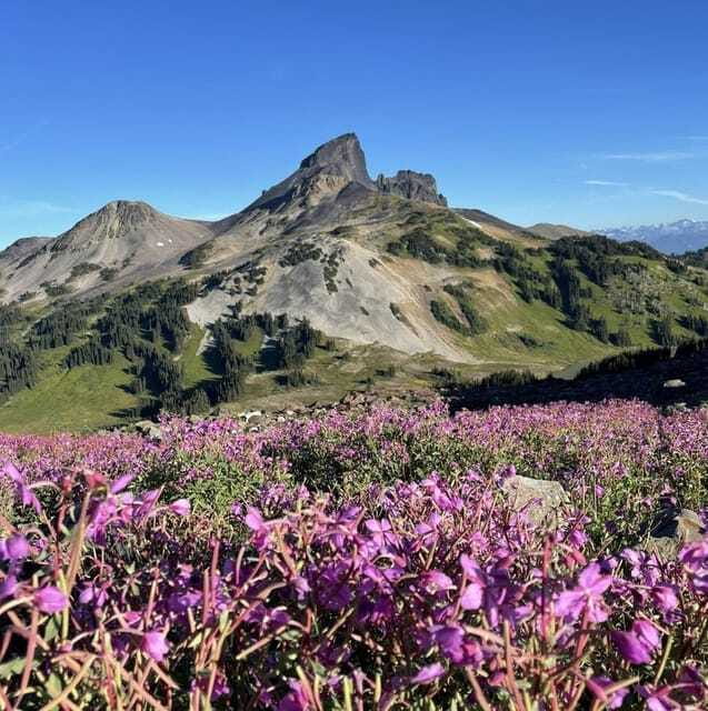 Garibaldi Park/ Panorama Ridge/ Hiking Day Trip - The Photo Moments: Green-Blue Lakes and Turquoise Payoff