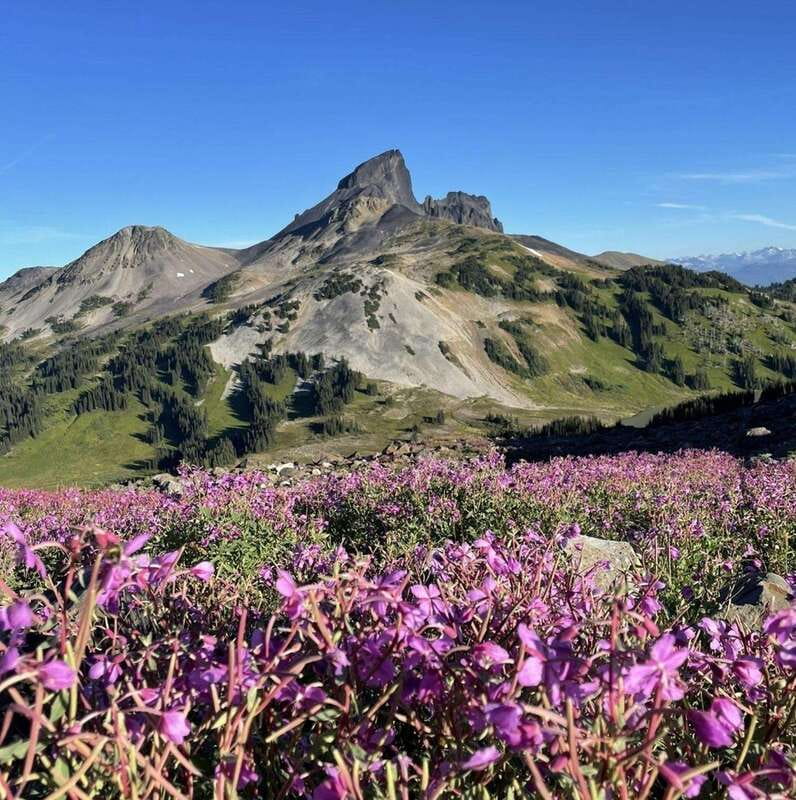 Garibaldi Park/ Panorama Ridge/ Hiking Day Trip - Price and Value: What $475 Per Person Buys You