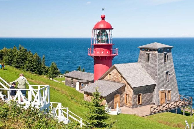 Gaspe 3–DAY Trip - Day 2 Afternoon: Percé Cruise to Bonaventure Island, The Best Birding Moment