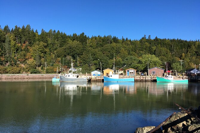 Go Fundy Tours - The pacing, guides, and the small extras that raise the value