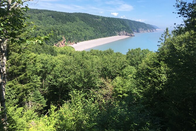 Go Fundy Tours - Timing and meeting point: cruise-day friendly, but be ready early