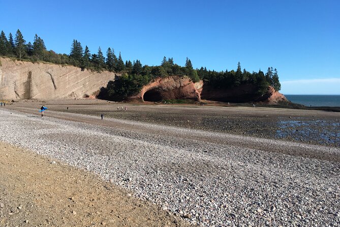 Go Fundy Tours - Price check: is $195 per person actually good value?