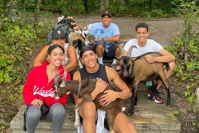 Goat Hiking, Beaver Dam Visit and picnic in Quebec forest - Meeting at 1343 Rue Gaudar: what to expect before you step into the woods