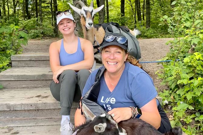 Goat Hiking, Beaver Dam Visit and picnic in Quebec forest - Luna the dog: why she makes the day feel smoother