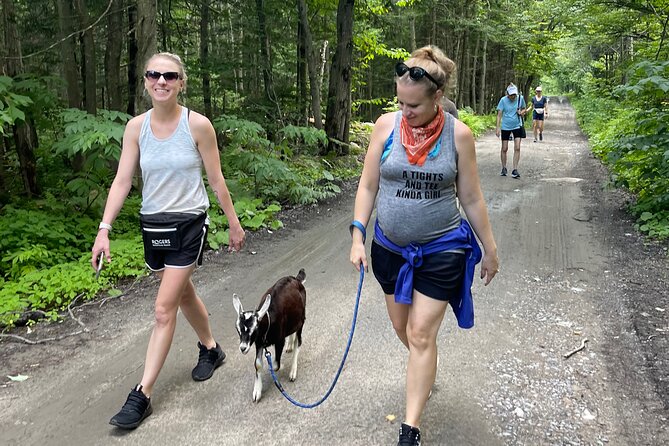 Goat Hiking, Beaver Dam Visit and picnic in Quebec forest - Beaver dam visit: what you learn, what you might not see