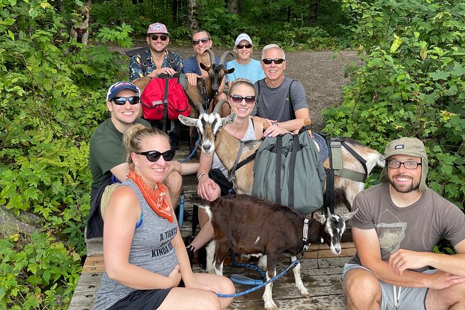 Goat Hiking, Beaver Dam Visit and picnic in Quebec forest - The forest picnic: homemade goat cheese and a real meal