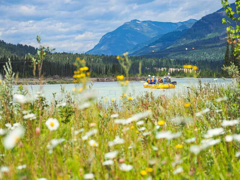 Golden, BC: Kicking Horse River Family Rafting with Lunch - The Float Itself: Calm Current, Then a Controlled Hit of Fun