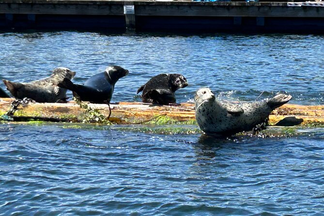 Granite and Silver Falls Private Boat Tour in Vancouver - Twin Islands in Say Nuth Khaw Yum Park: a quick wildlife read