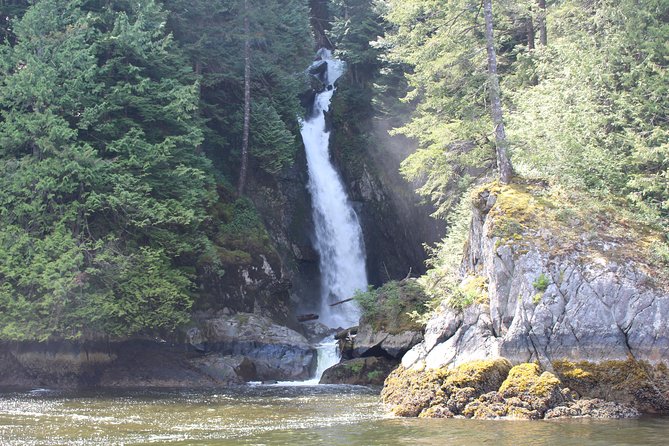 Granite Falls Zodiac Tour by Vancouver Water Adventures - Price and value: $104.60 for a city-to-fjord water loop