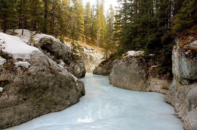 Grassi Lake and Grotto Canyon Hiking Calgary/Canmore/Banff - Price and value: what you’re really paying for at $111.38