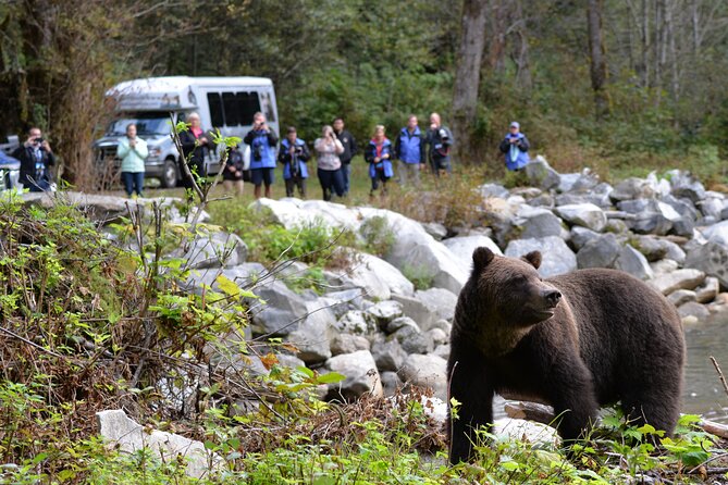 Great Bears of Bute: Grizzly Bear Viewing & Indigenous Cultural Tour - Salish Sea boat time: comfort first, wildlife second