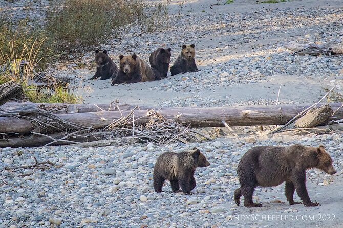 Grizzly Bear Expedition - Getting Started at Campbell River, With Time to Settle In
