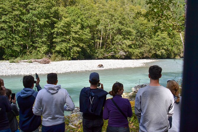 Grizzly Bear Expedition - The Orford River Stop, Where the Bears Meet the Salmon Run