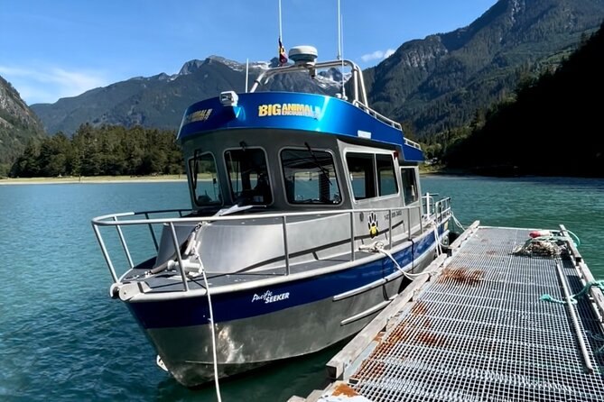 Grizzly Bear Expedition - Marine Life Beyond Whales, With a Bird’s Eye View of the Inlet