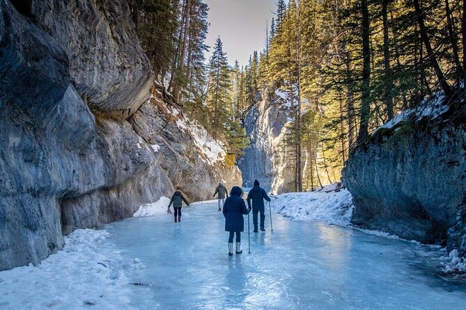 Grotto Canyon Majestic Ice Walk tour from Banff, Calgary, Canmore - Grotto Canyon in winter: what you are walking into