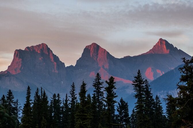 Grotto Canyon Majestic Ice Walk tour from Banff, Calgary, Canmore - Should you book the Grotto Canyon Majestic Ice Walk?