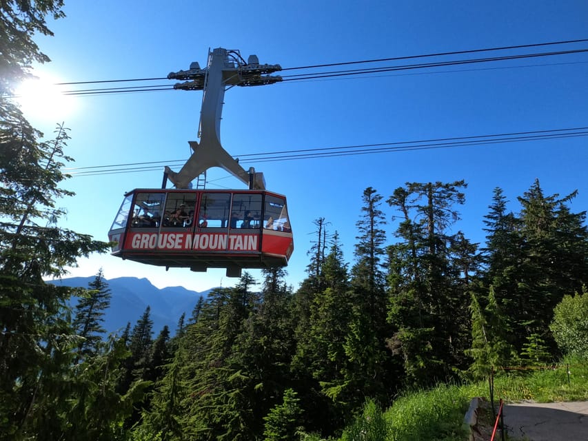 Grouse Mnt+StanleyPark+Hatchery+Cleveland Dam+LynnCanyonTOUR - Stanley Park Seawall and Totem Poles, Close to the Finish
