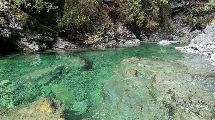 Grouse Mnt+StanleyPark+Hatchery+Cleveland Dam+LynnCanyonTOUR - Price and Logistics: What You Get for $145 and Why the Timing Works