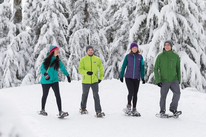 Grouse Mountain Admission Ticket - Timing tips that make the day smoother