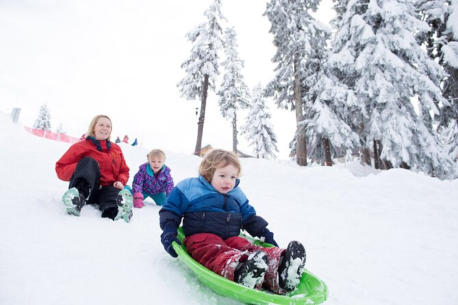 Grouse Mountain Admission Ticket - Should you book Grouse Mountain admission?