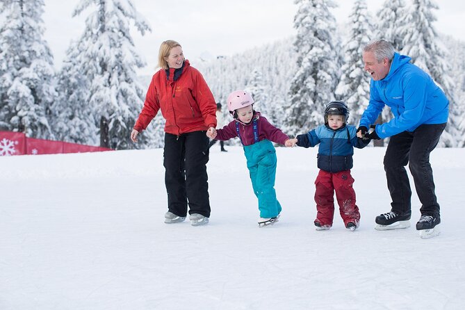 Grouse Mountain Admission Ticket - Ride up the mountain, then let the day unfold