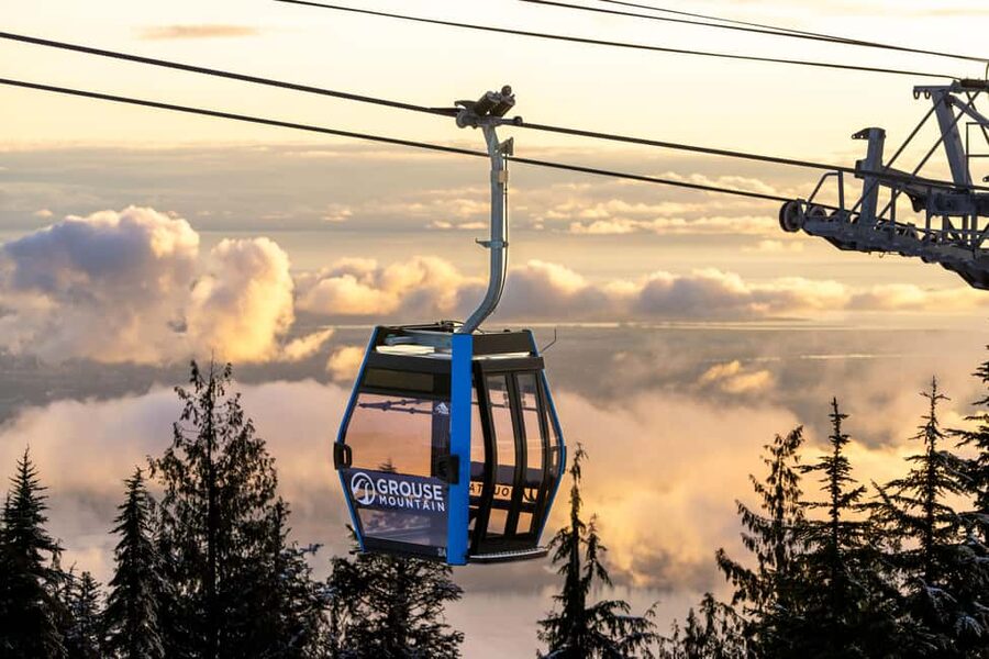 Grouse Mountain, Capilano Bridge & Fish Hatchery Tour - Quick hits before you go