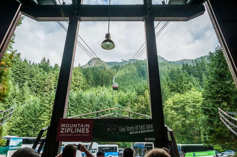 Grouse Mountain, Capilano Bridge & Fish Hatchery Tour - Why this North Shore combo tour makes sense