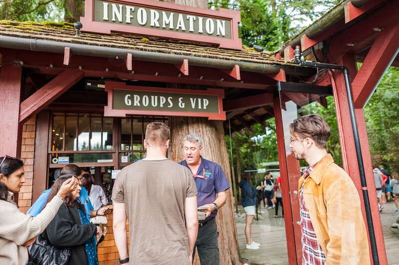 Grouse Mountain, Capilano Bridge & Fish Hatchery Tour - Grouse Mountain gondola views and included shows