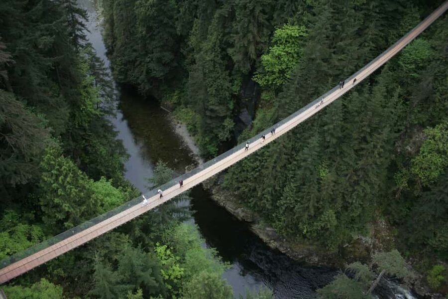 Grouse Mountain, Capilano Bridge & Fish Hatchery Tour - Capilano Suspension Bridge Park: Cliffwalk and Treetops are the real win