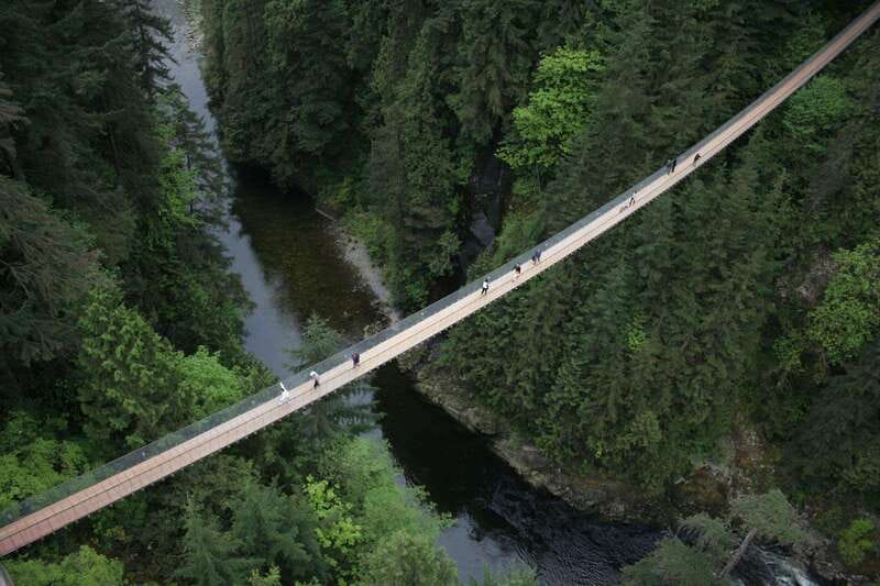 Grouse Mountain, Capilano Bridge & Fish Hatchery Tour - Salmon Hatchery: Pacific salmon life cycle, with seasonal moments