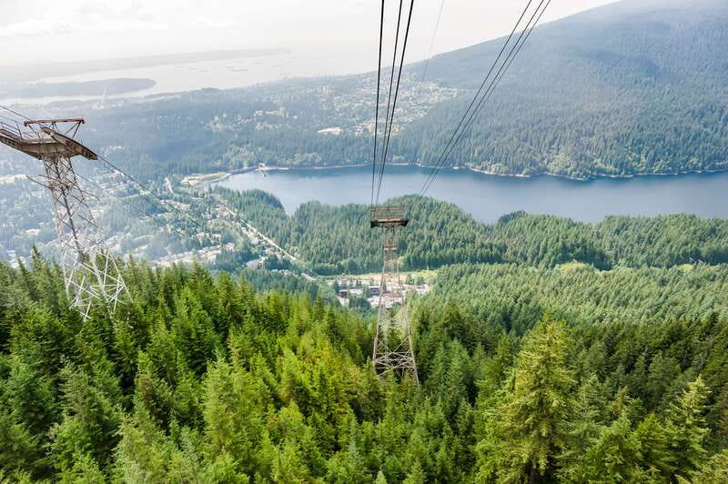 Grouse Mountain, Capilano Bridge & Fish Hatchery Tour - Pickup and timing: how to set yourself up for a smooth day