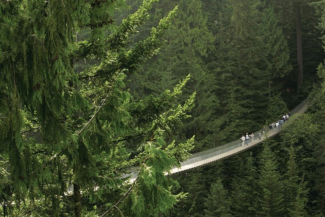 Grouse Mountain & Capilano Bridge Tour with Fish Hatchery - Price and what $198.29 buys you (and what it does not)