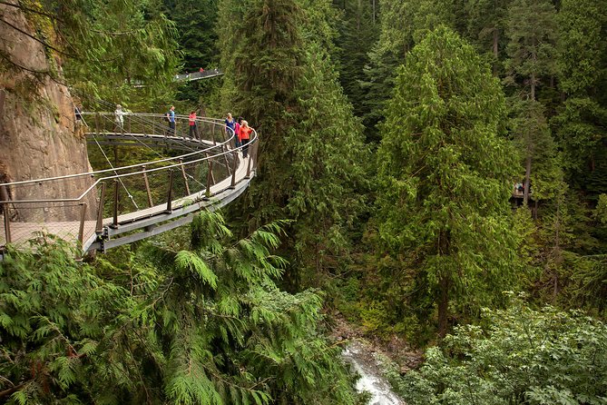 Grouse Mountain & Capilano Bridge Tour with Fish Hatchery - Who this tour fits best, and who should look at alternatives