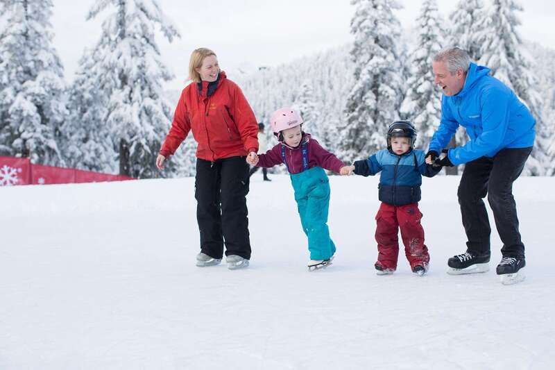 Grouse Mountain Skyride Admission Ticket - Summer plan: bears, Birds in Motion, Lumberjack Show, and Peak Chairlift